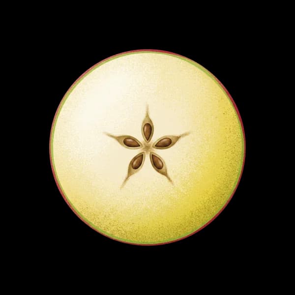 Apple slice