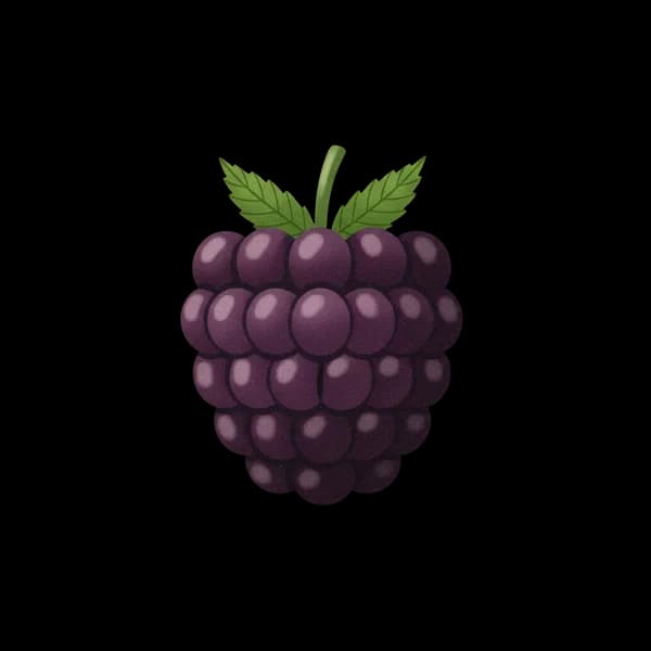 Blackberry