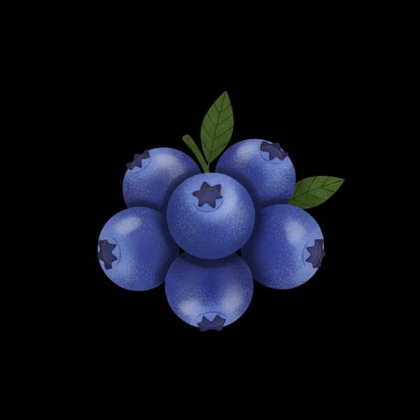 Blueberry