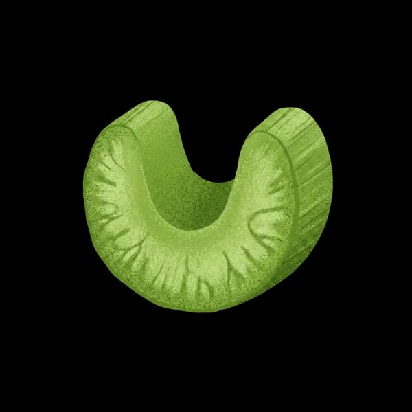 Celery slice