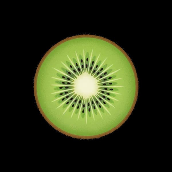 Kiwi slice