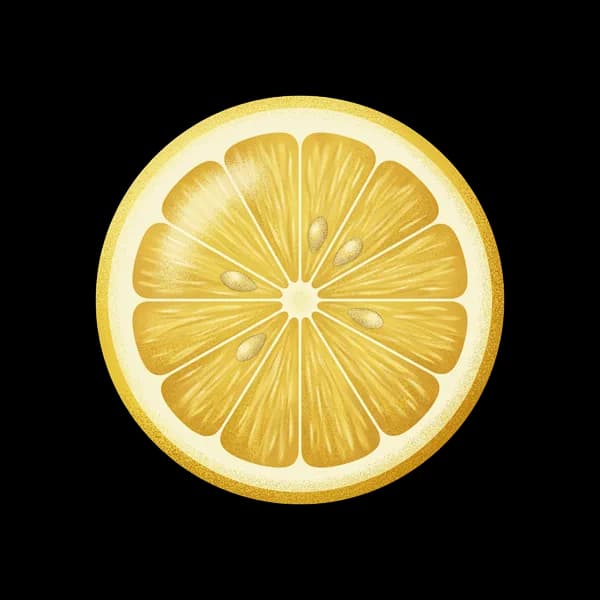 Lemon slice