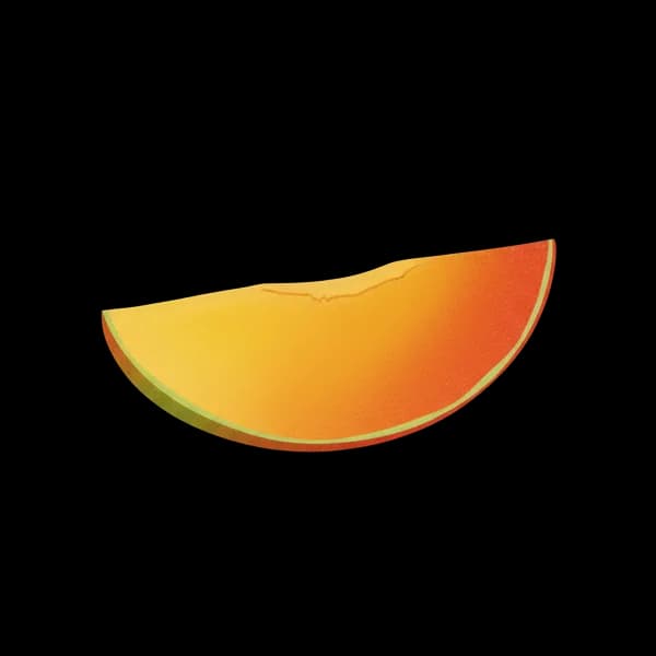 Mango slice
