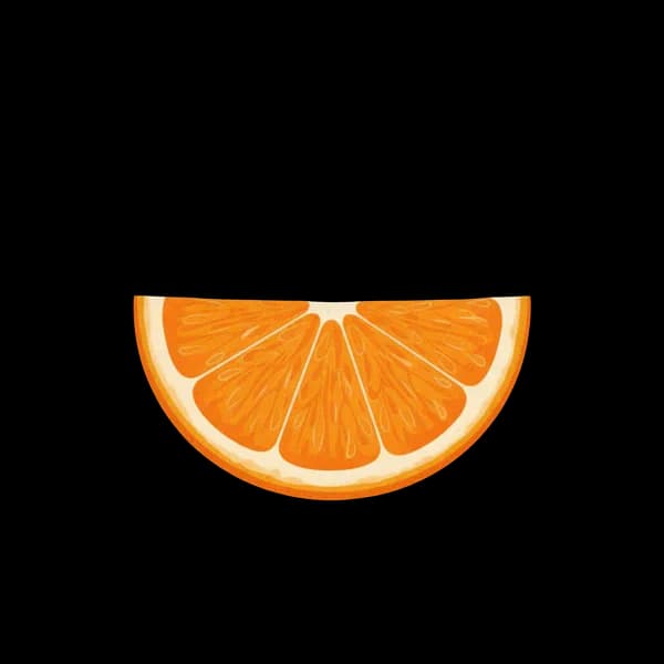 Orange slice