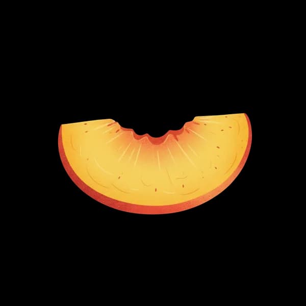 Peach slice