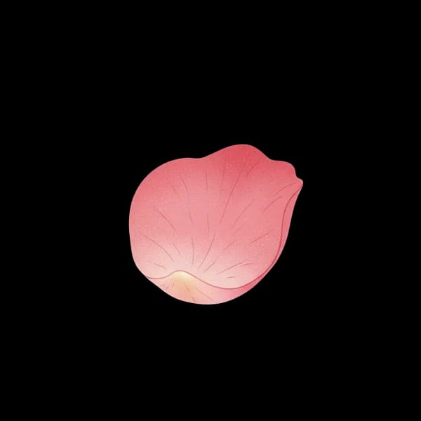 Rose petal