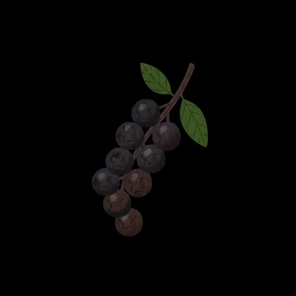Black pepper