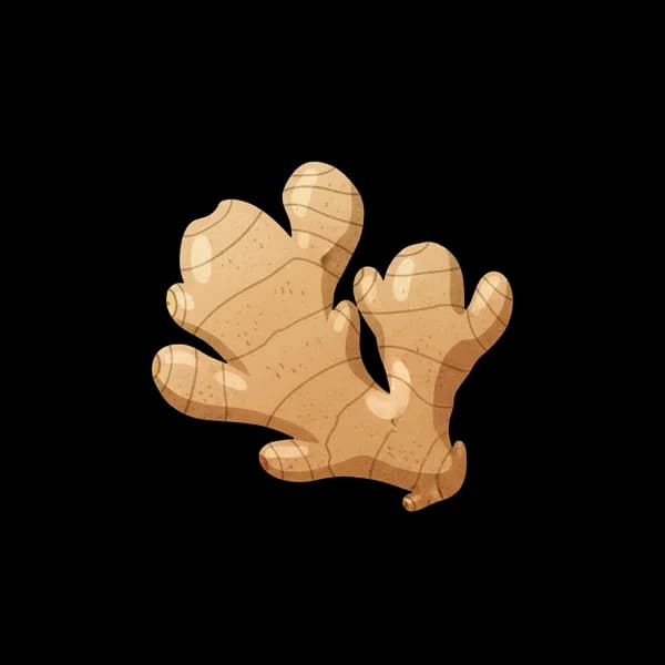 Fresh ginger root
