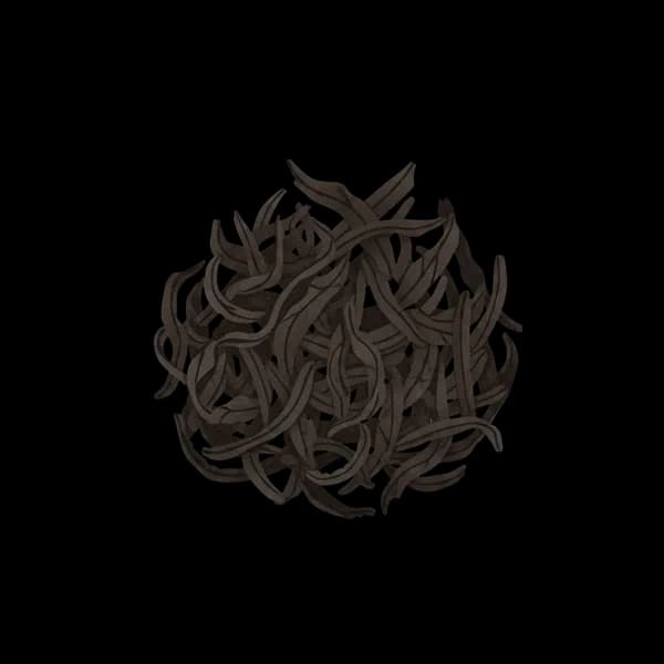 Lapsang souchong tea