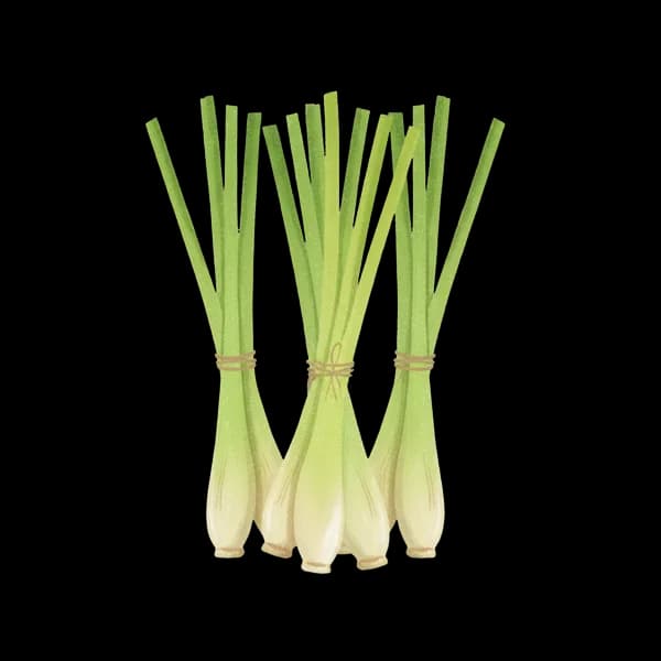 Lemongrass stem