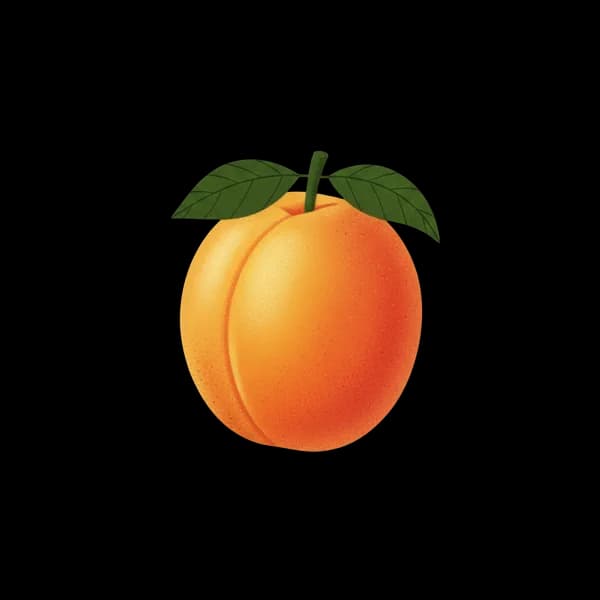 Apricot