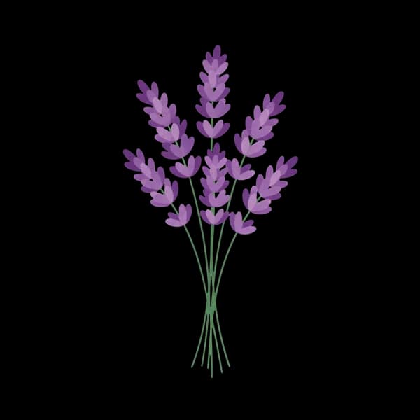 Lavender syrup
