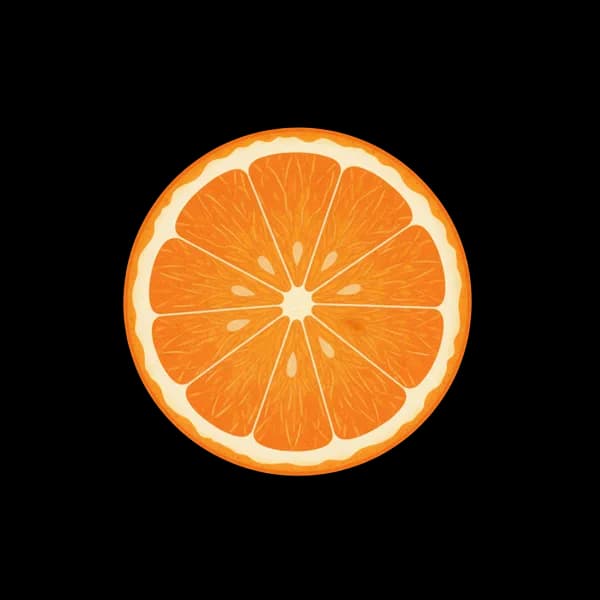 Orange slice