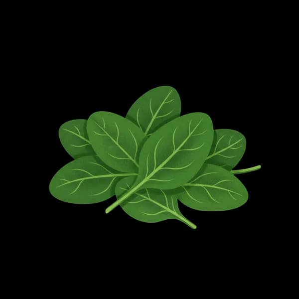 Baby spinach