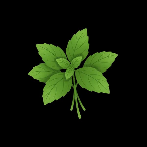 Fresh basil leaves