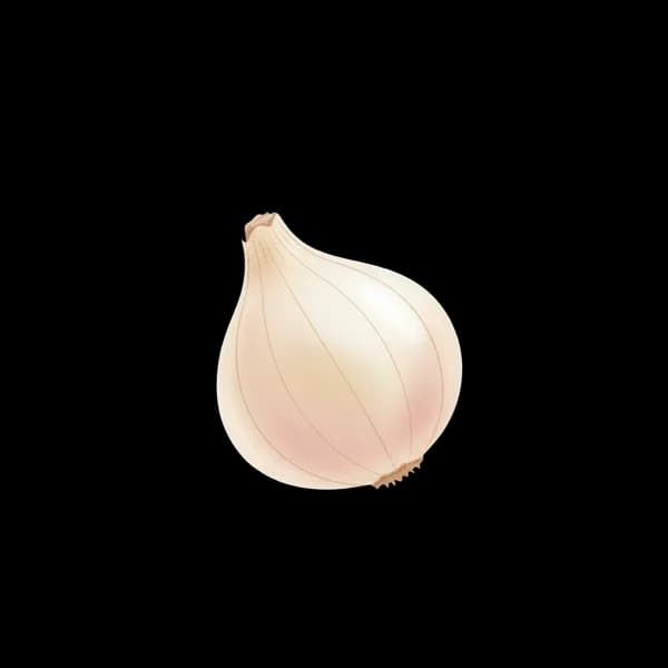 Cocktail onion