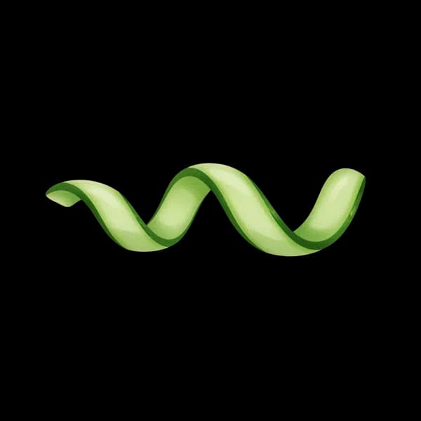 Cucumber ribbon