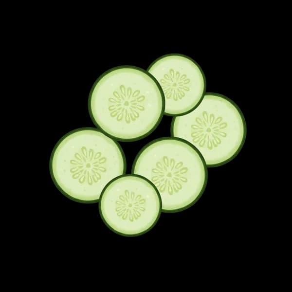 Cucumber slice
