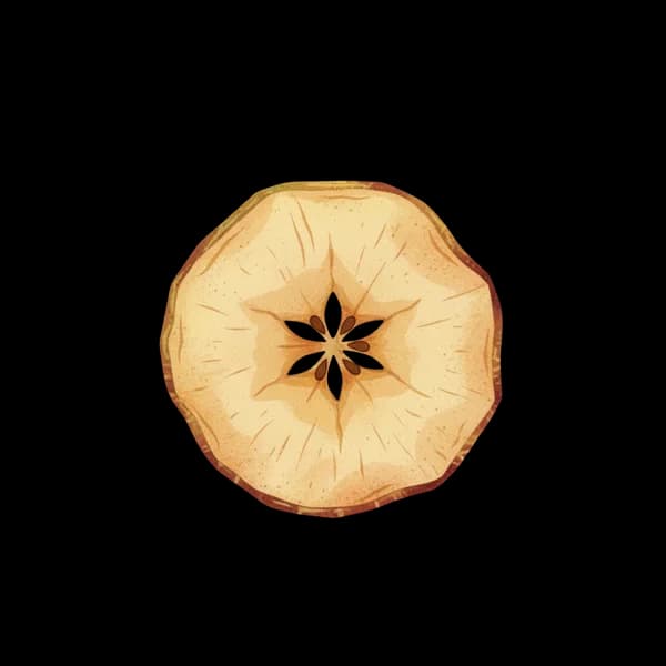 Dehydrated apple slice