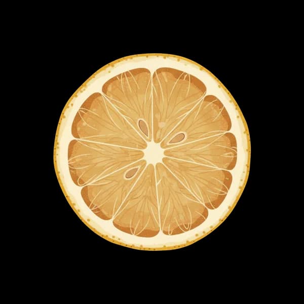 Dehydrated lemon slice