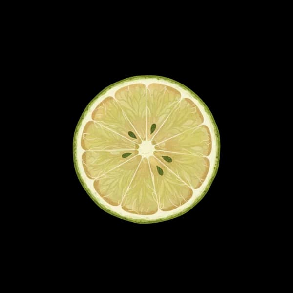 Dehydrated lime wheel