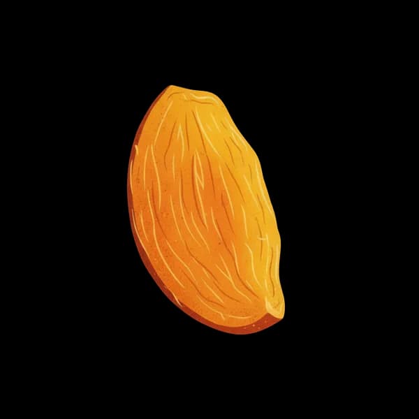 Dehydrated mango slice