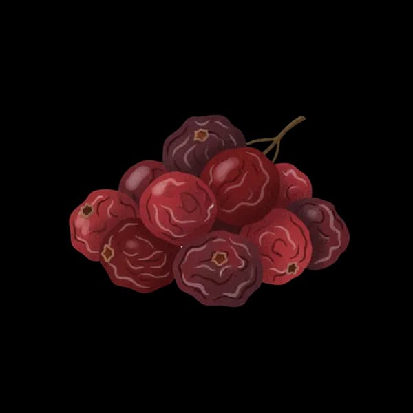 Dried cranberries
