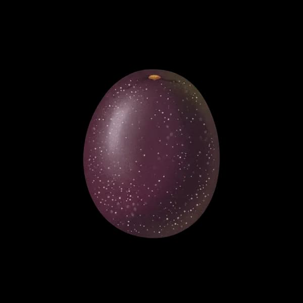 Passion fruit