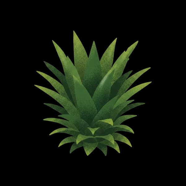 Pineapple leaf