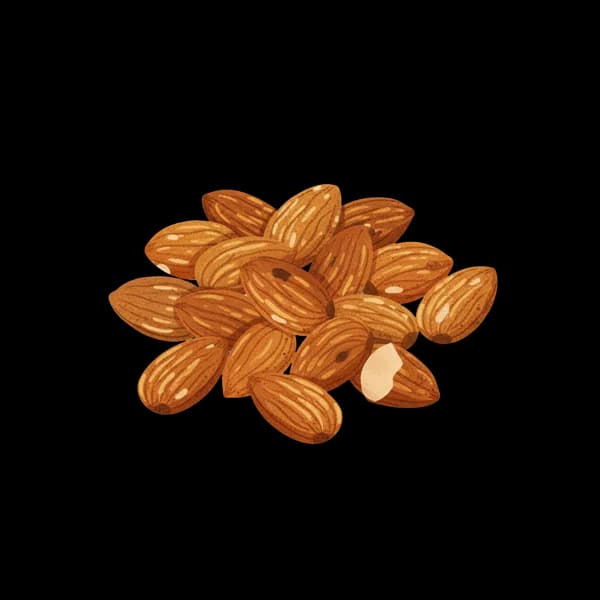 Toasted almonds