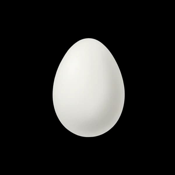 Egg