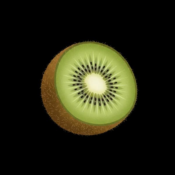 Fresh kiwi fruit