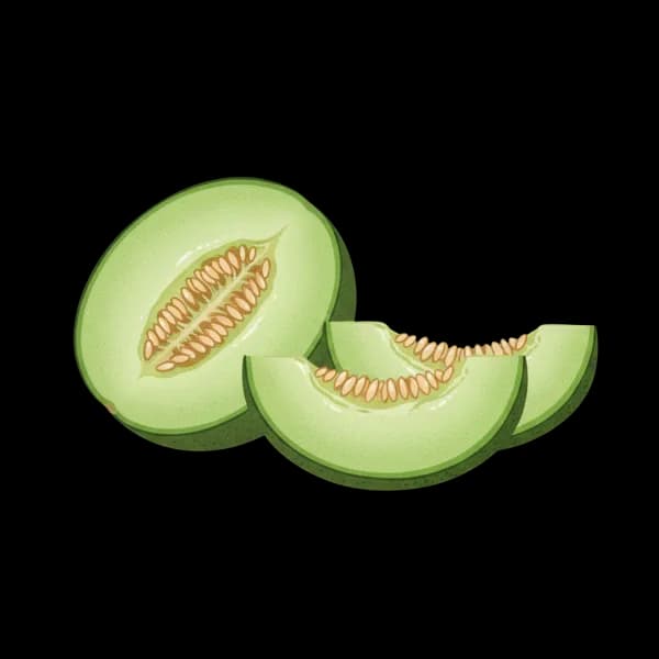 Melon