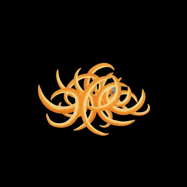 Grapefruit zest